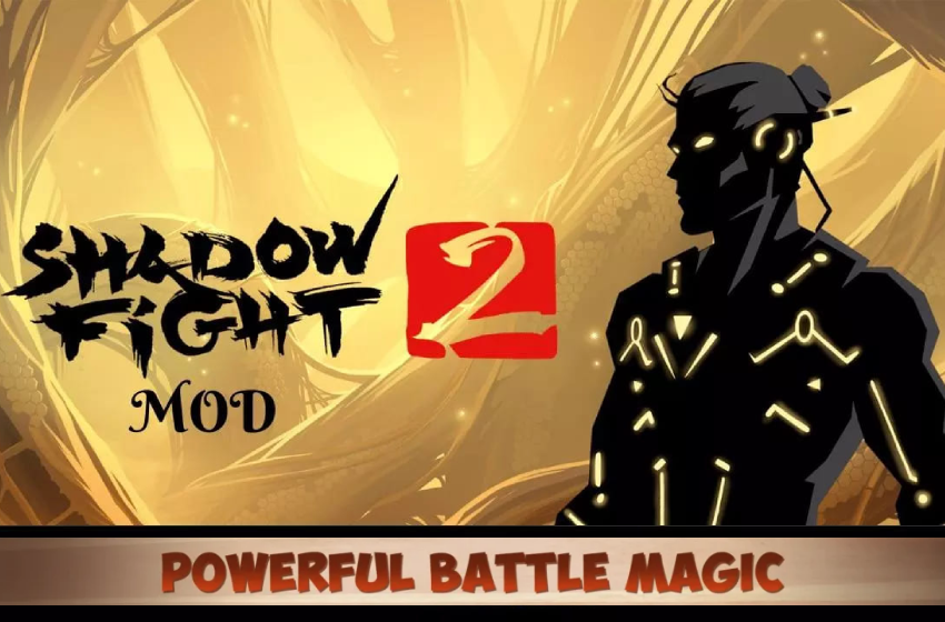 What is Shadow fight 2 apk 